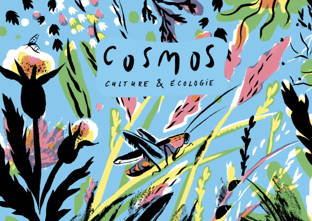 Cosmos Culture et Ecologie